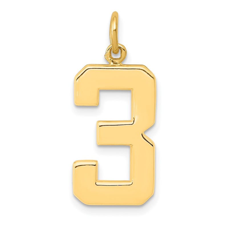 10K Yellow Gold Large Polished Number 3 Charm