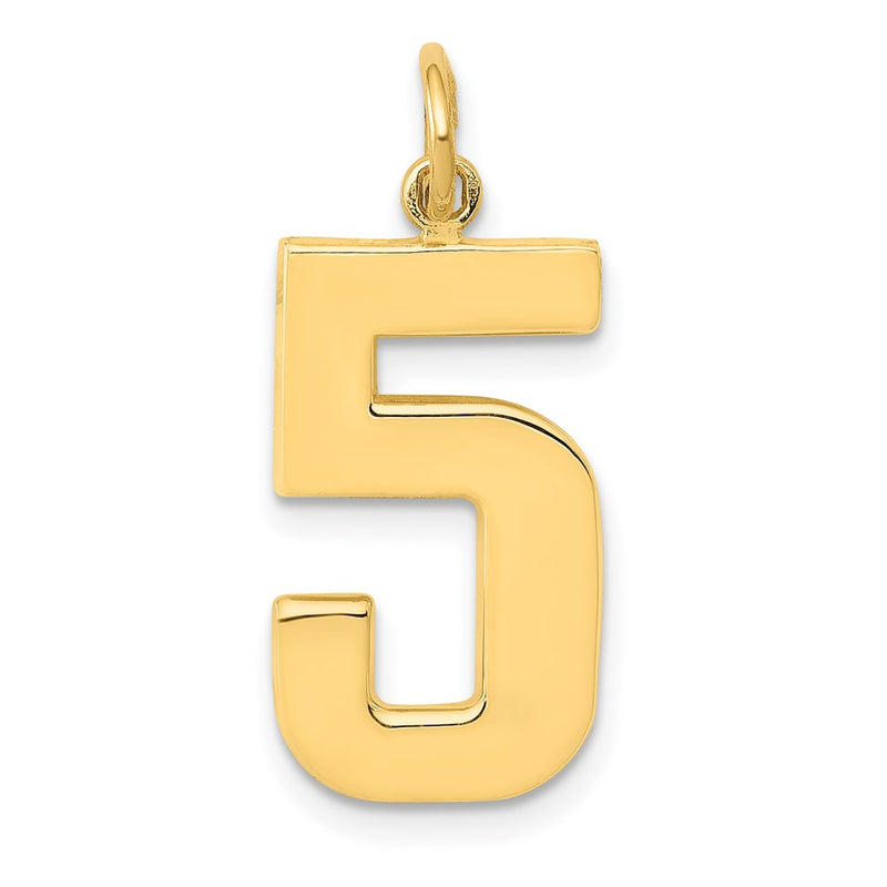 10K Yellow Gold Large Polished Number 5 Charm