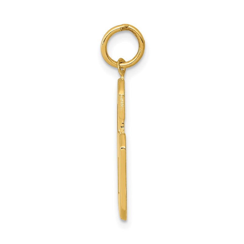 10K Yellow Gold Large Polished Number 6 Charm