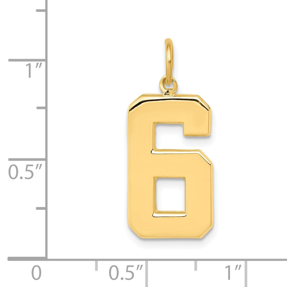 10K Yellow Gold Large Polished Number 6 Charm