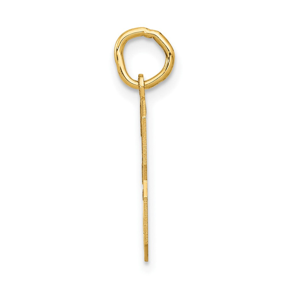 10K Yellow Gold Medium Satin Number 3 Charm