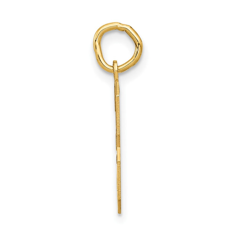 10K Yellow Gold Medium Satin Number 3 Charm