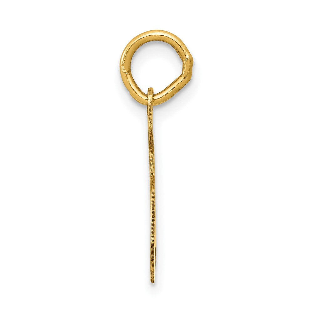 10K Yellow Gold Medium Satin Number 5 Charm