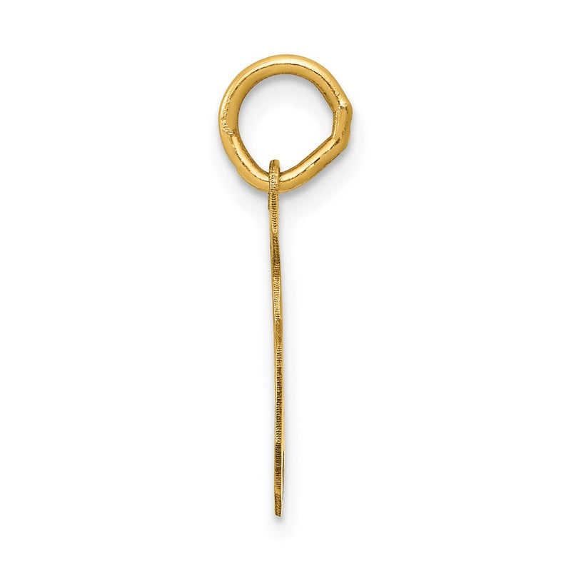10K Yellow Gold Medium Satin Number 5 Charm