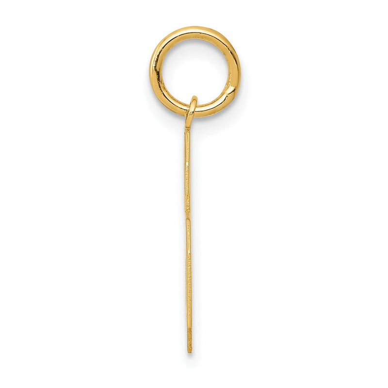 10K Yellow Gold Medium Satin Number 6 Charm