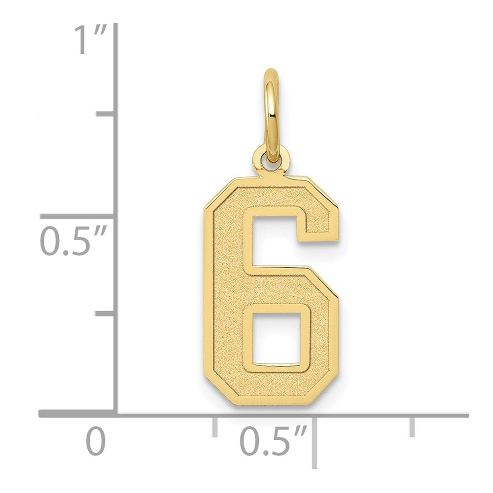 10K Yellow Gold Medium Satin Number 6 Charm