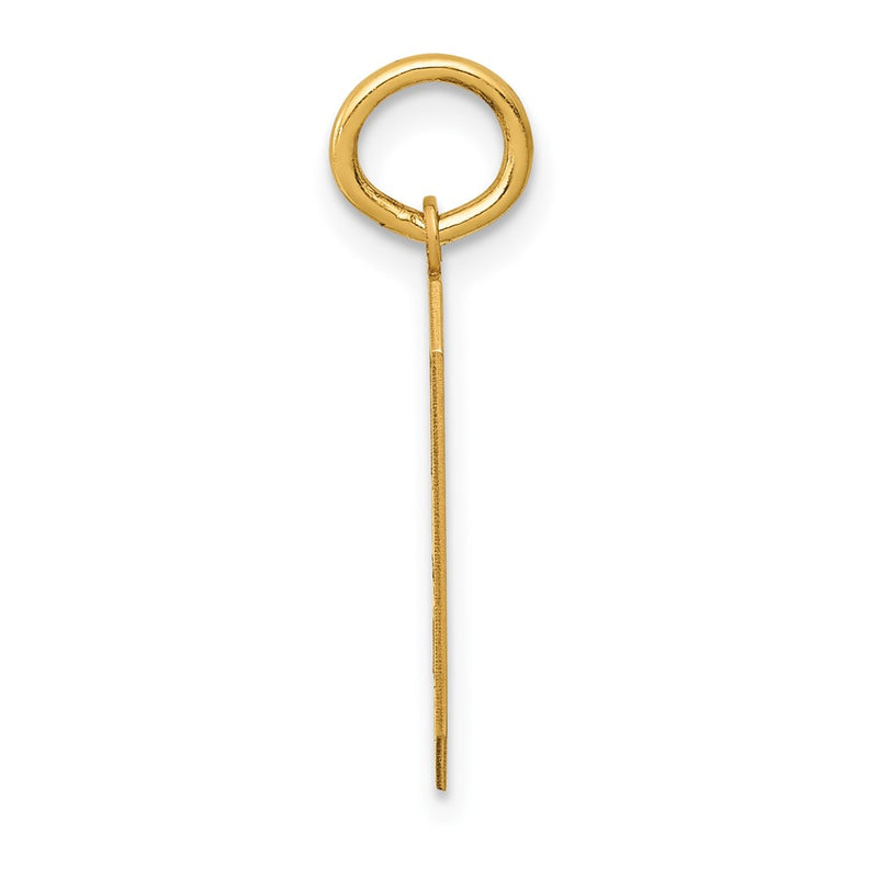 10K Yellow Gold Medium Satin Number 9 Charm
