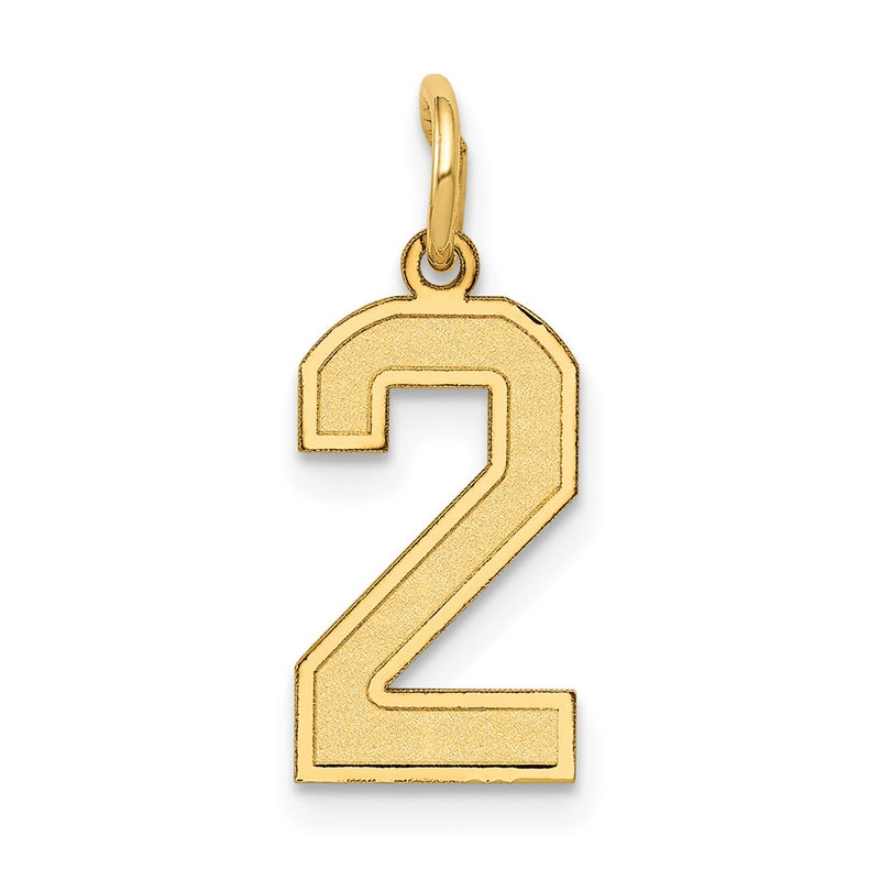 10K Yellow Gold Small Satin Number 2 Charm