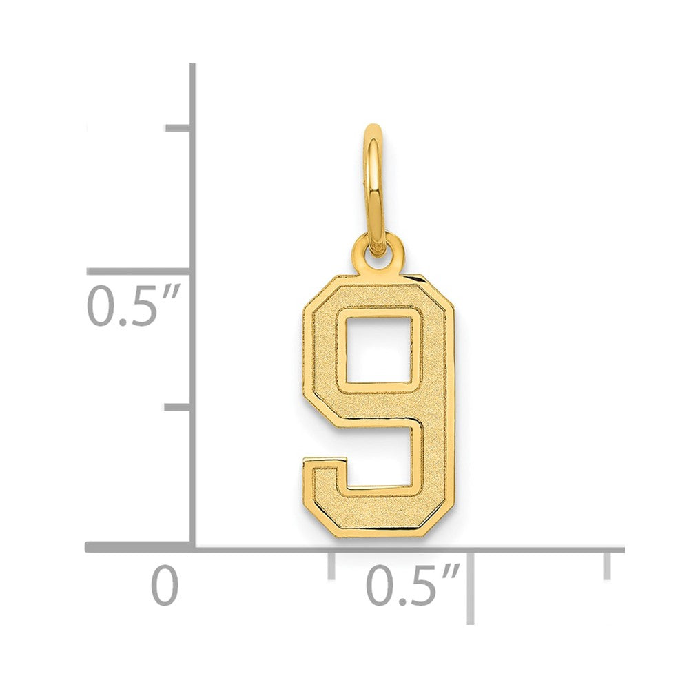 10K Yellow Gold Small Satin Number 9 Charm