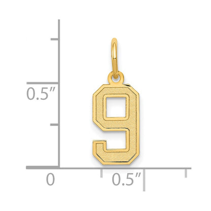 10K Yellow Gold Small Satin Number 9 Charm