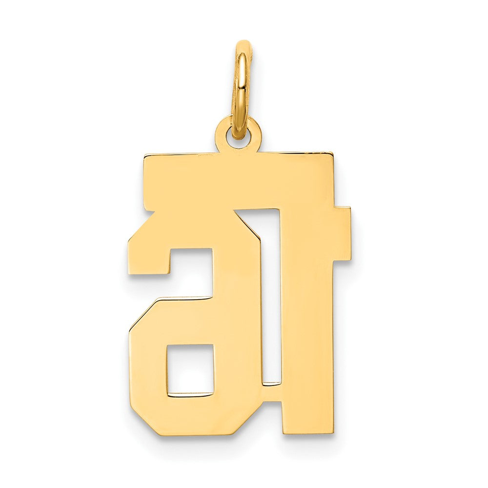10K Yellow Gold 10Ky Small Satin Number 16 Charm