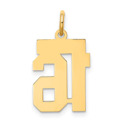 10K Yellow Gold 10Ky Small Satin Number 16 Charm