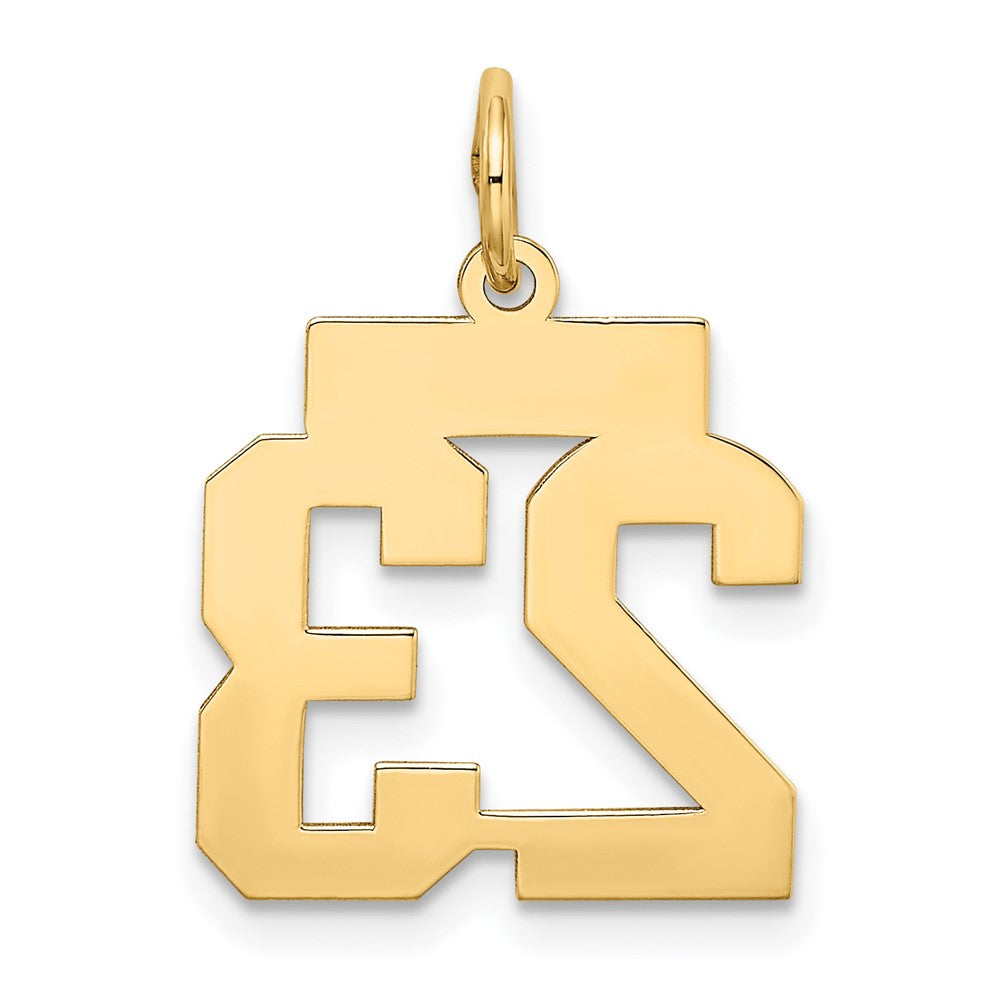 10K Yellow Gold Small Satin Number 25 Charm