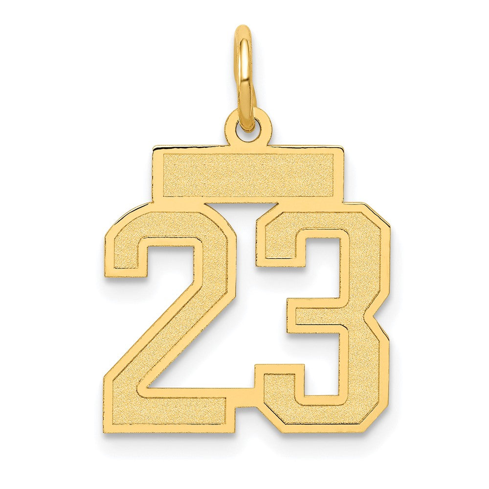 10K Yellow Gold Small Satin Number 25 Charm