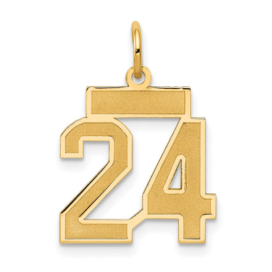 10K Yellow Gold Small Satin Number 24 Charm