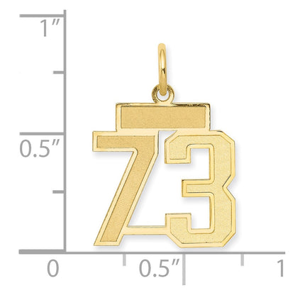 10K Yellow Gold 10Ky Small Satin Number 73 Charm