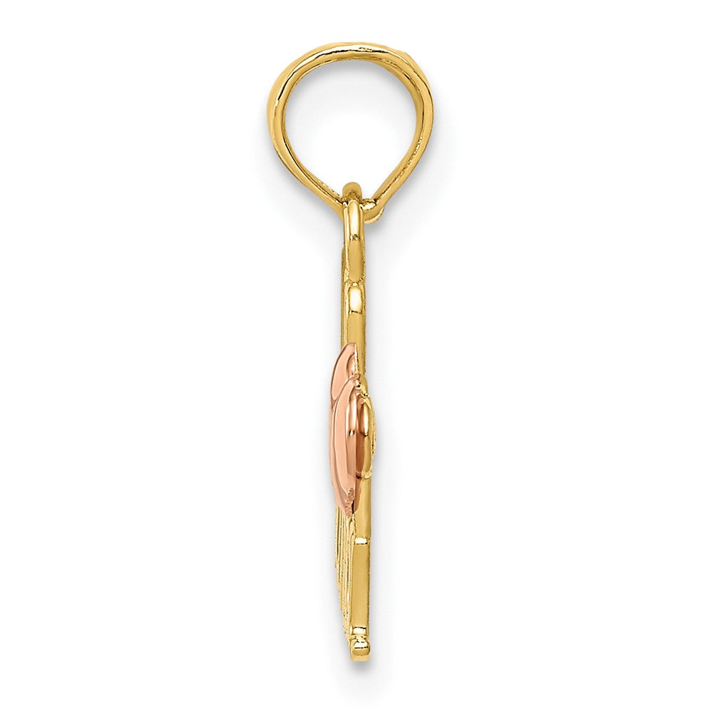 10K Two-Tone Two-Tone We Love Nana Charm