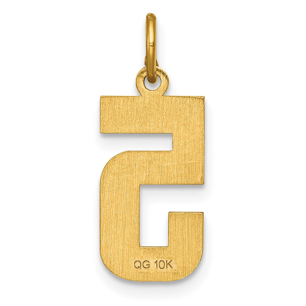 10K Yellow Gold 10Ky Casted Medium Diamond-Cut Number 5 Charm