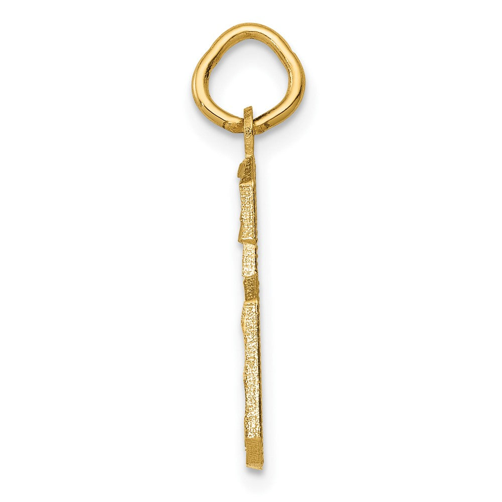 10K Yellow Gold 10Ky Casted Medium Diamond-Cut Number 6 Charm
