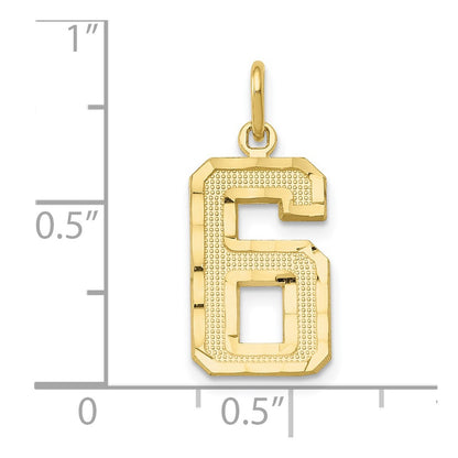 10K Yellow Gold 10Ky Casted Medium Diamond-Cut Number 6 Charm