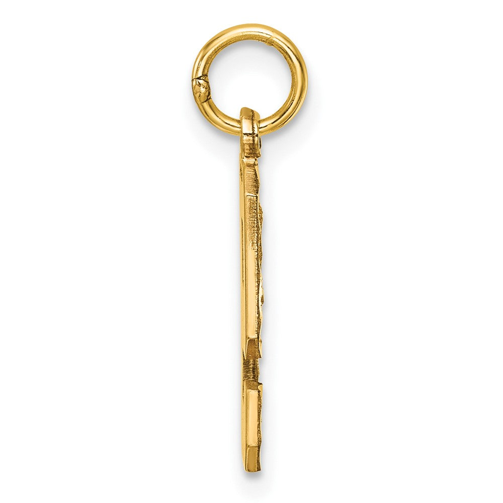 10K Yellow Gold 10Ky Casted Medium Diamond-Cut Number 9 Charm
