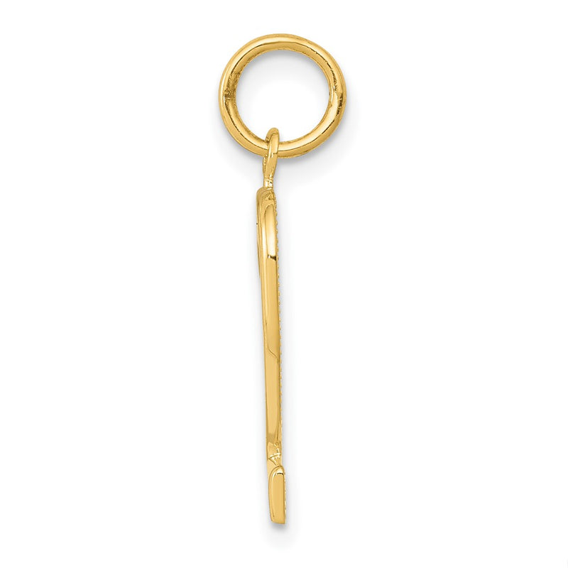10K Yellow Gold Medium Polished Number 2 Charm