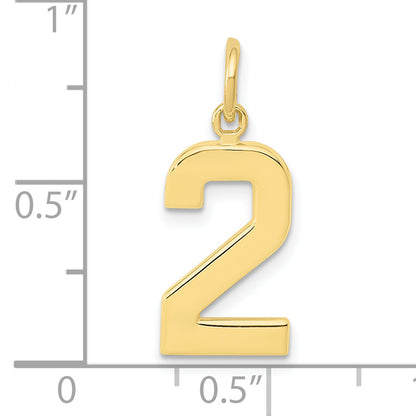 10K Yellow Gold Medium Polished Number 2 Charm