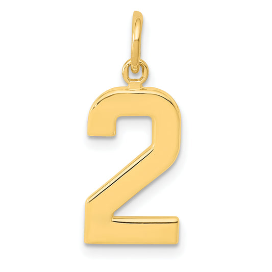 10K Yellow Gold Medium Polished Number 2 Charm