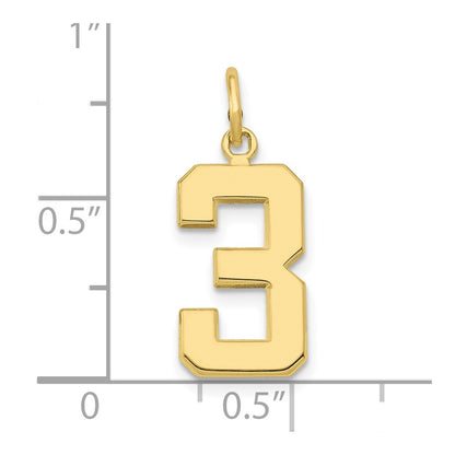 10K Yellow Gold Medium Polished Number 3 Charm