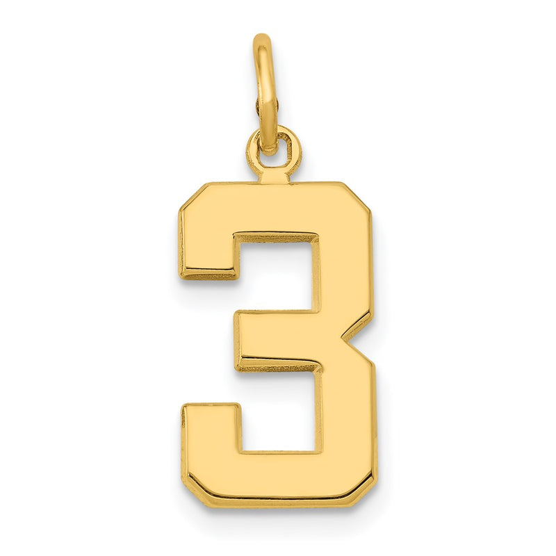 10K Yellow Gold Medium Polished Number 3 Charm