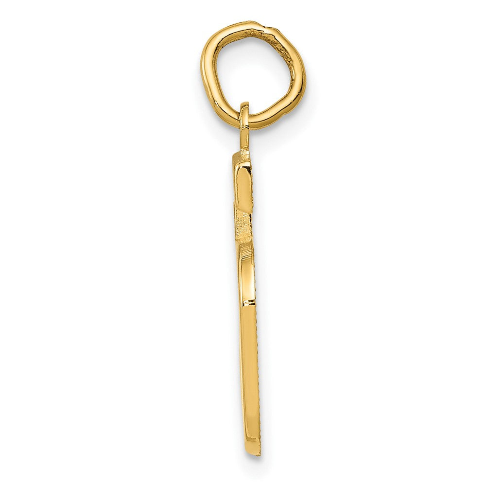 10K Yellow Gold Medium Polished Number 5 Charm