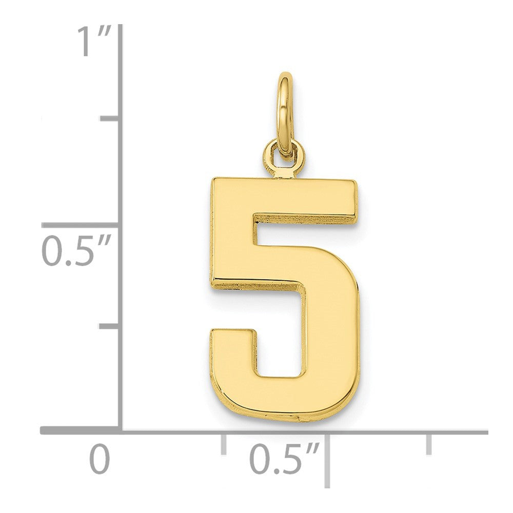 10K Yellow Gold Medium Polished Number 5 Charm