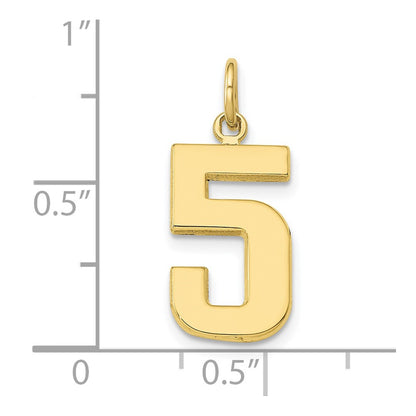 10K Yellow Gold Medium Polished Number 5 Charm