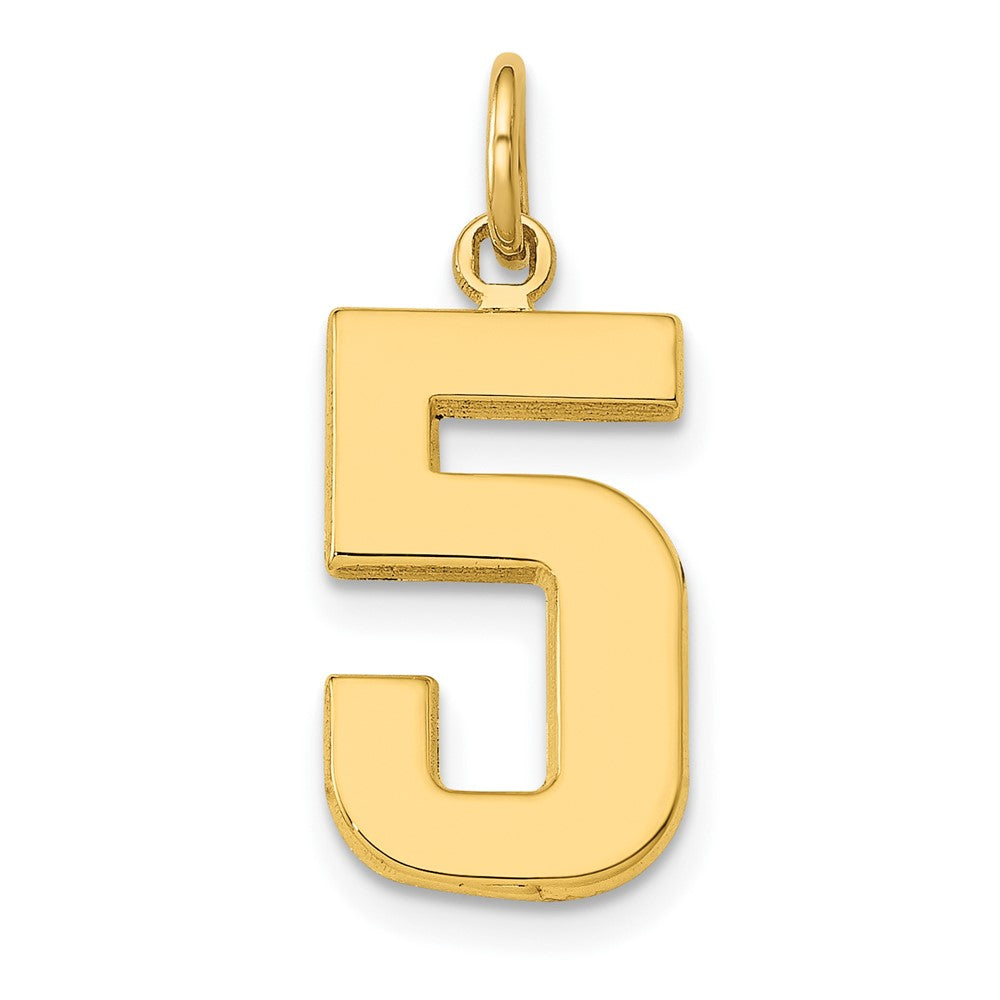 10K Yellow Gold Medium Polished Number 5 Charm