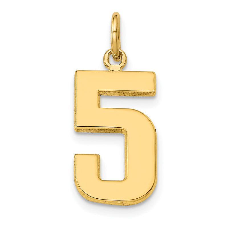 10K Yellow Gold Medium Polished Number 5 Charm