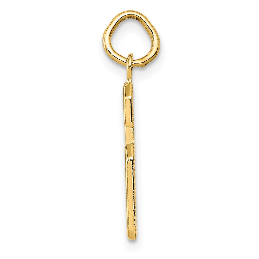 10K Yellow Gold Medium Polished Number 6 Charm