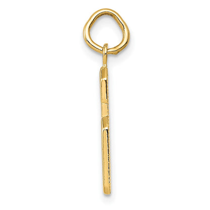 10K Yellow Gold Medium Polished Number 6 Charm