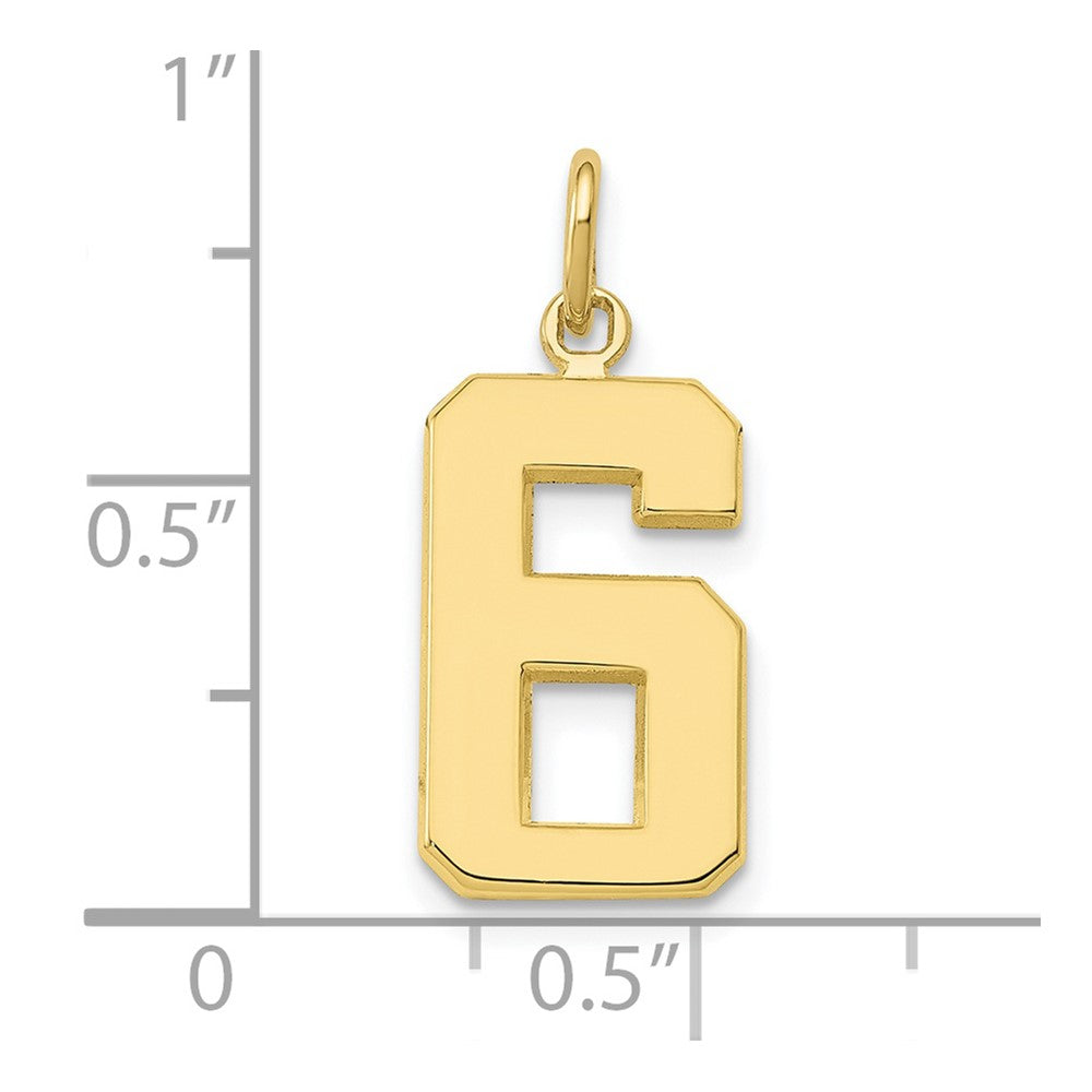 10K Yellow Gold Medium Polished Number 6 Charm