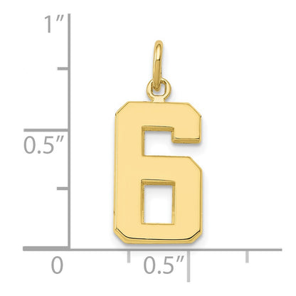 10K Yellow Gold Medium Polished Number 6 Charm
