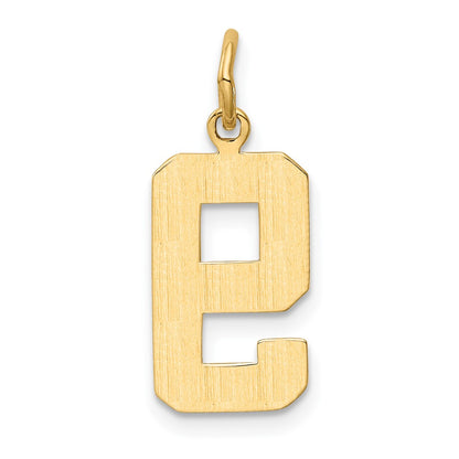 10K Yellow Gold Medium Polished Number 9 Charm