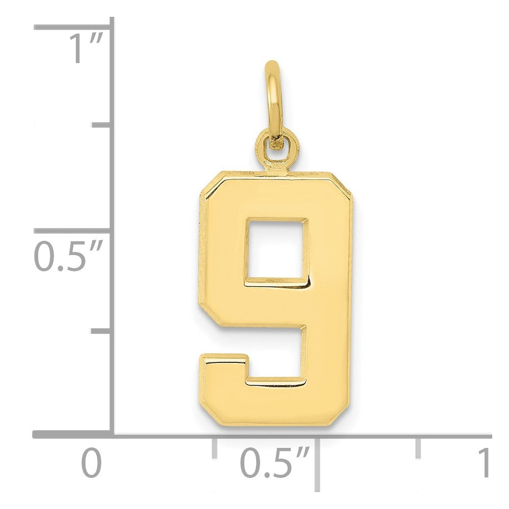 10K Yellow Gold Medium Polished Number 9 Charm
