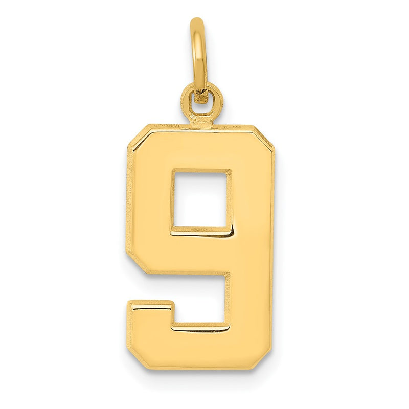 10K Yellow Gold Medium Polished Number 9 Charm