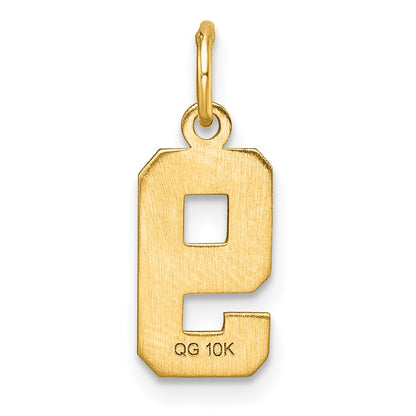 10K Yellow Gold 10Ky Casted Small Diamond-Cut Number 9 Charm