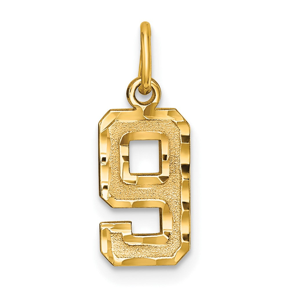 10K Yellow Gold 10Ky Casted Small Diamond-Cut Number 9 Charm