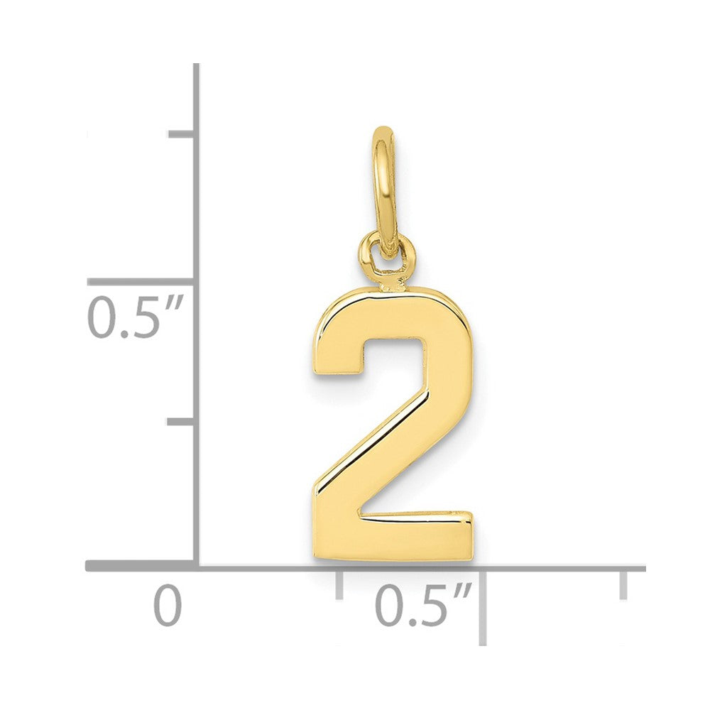 10K Yellow Gold Small Polished Number 2 Charm