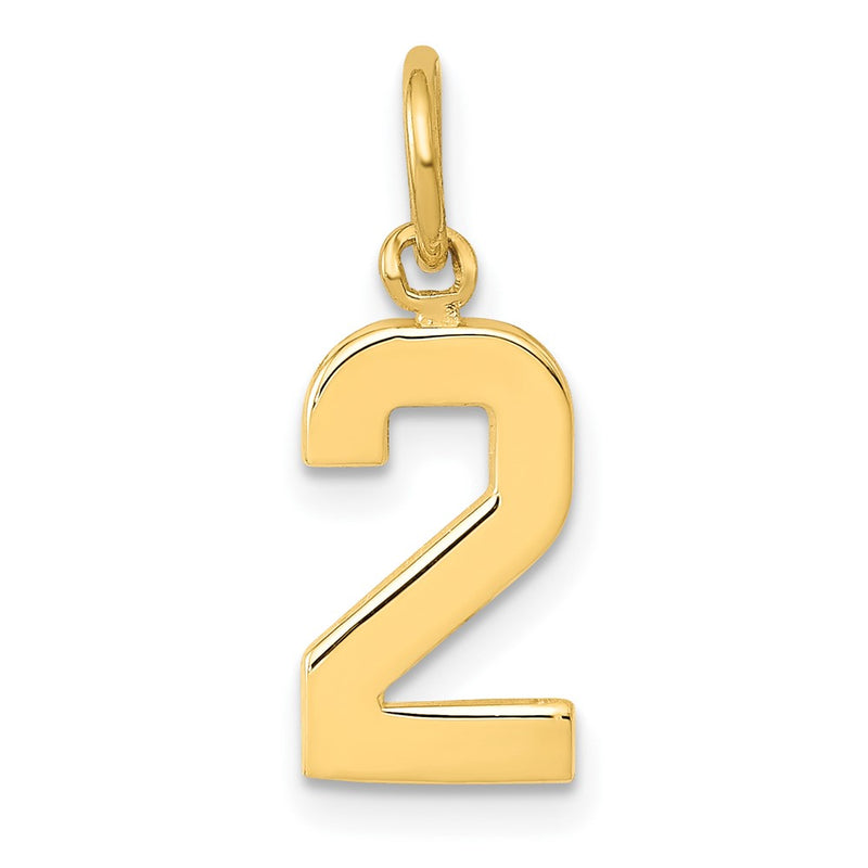 10K Yellow Gold Small Polished Number 2 Charm