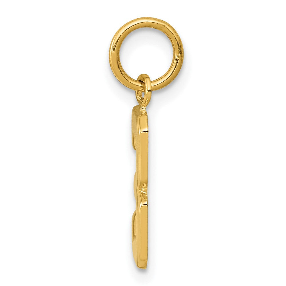 10K Yellow Gold Small Polished Number 3 Charm