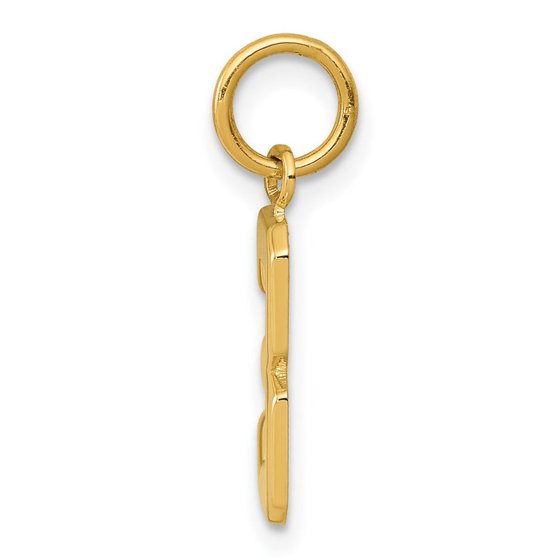 10K Yellow Gold Small Polished Number 3 Charm