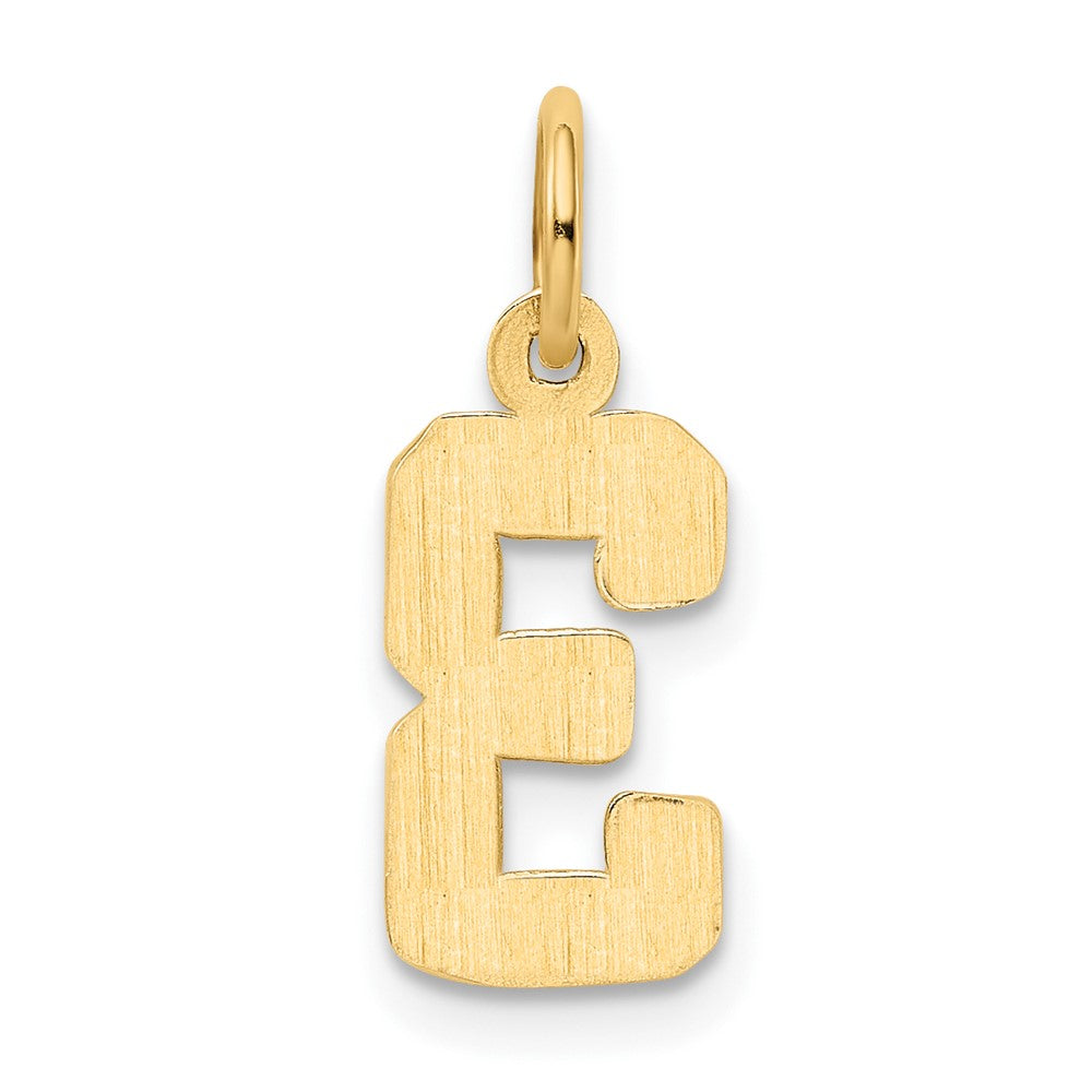 10K Yellow Gold Small Polished Number 3 Charm