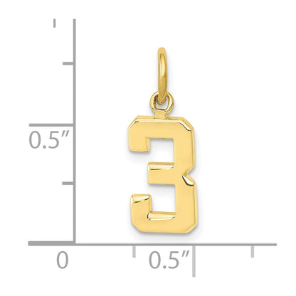 10K Yellow Gold Small Polished Number 3 Charm
